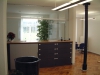 niederbuchsiten-schalter-eg-2
